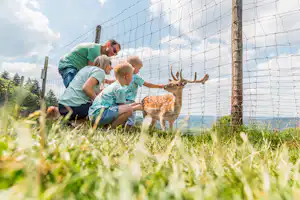 Camping Landal Sonnenberg - Camper Familie am Tiergehege vom Campingplatz