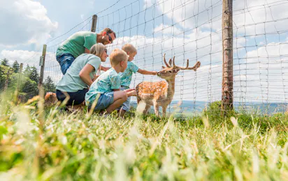 Camping Sonnenberg