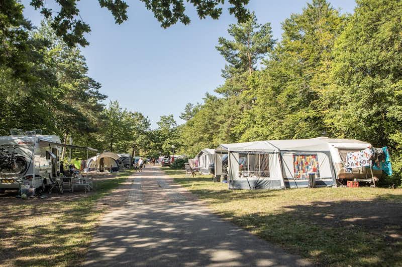 Camping Landal Sonnenberg - Standplätze auf dem Campingplatz umgeben von Bäumen