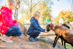 Camping Landal Warsberg - Kinder im Streichelzoo vom Campingplatz