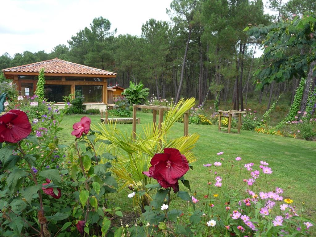 Camping Landes Oceanes