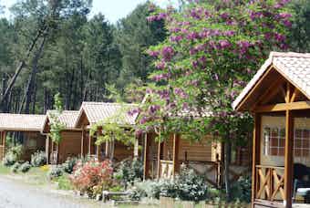 Camping Landes Oceanes