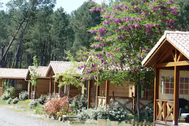 Camping Landes Oceanes