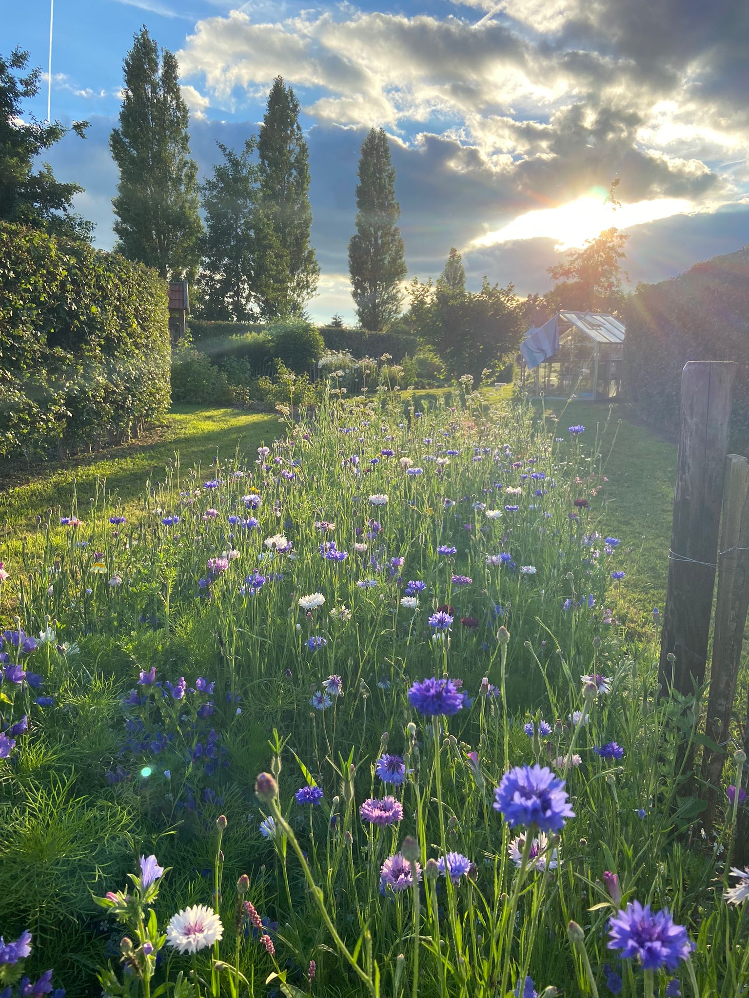 Camping Landgoed Geerdijk