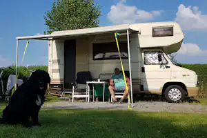 Camping Landgoed Lemmenhof - Hund vor Wohnwagen