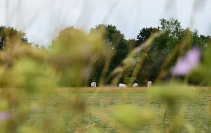 Camping Landløk