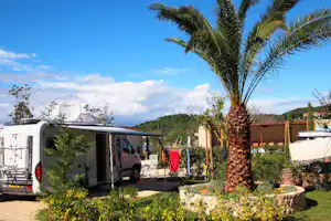 Wohnmobil auf einem Campingstellplatz mit Palmen, Hecken und Blumenbeeten, im Hintergrund weitere Fahrzeuge und Gebäude.