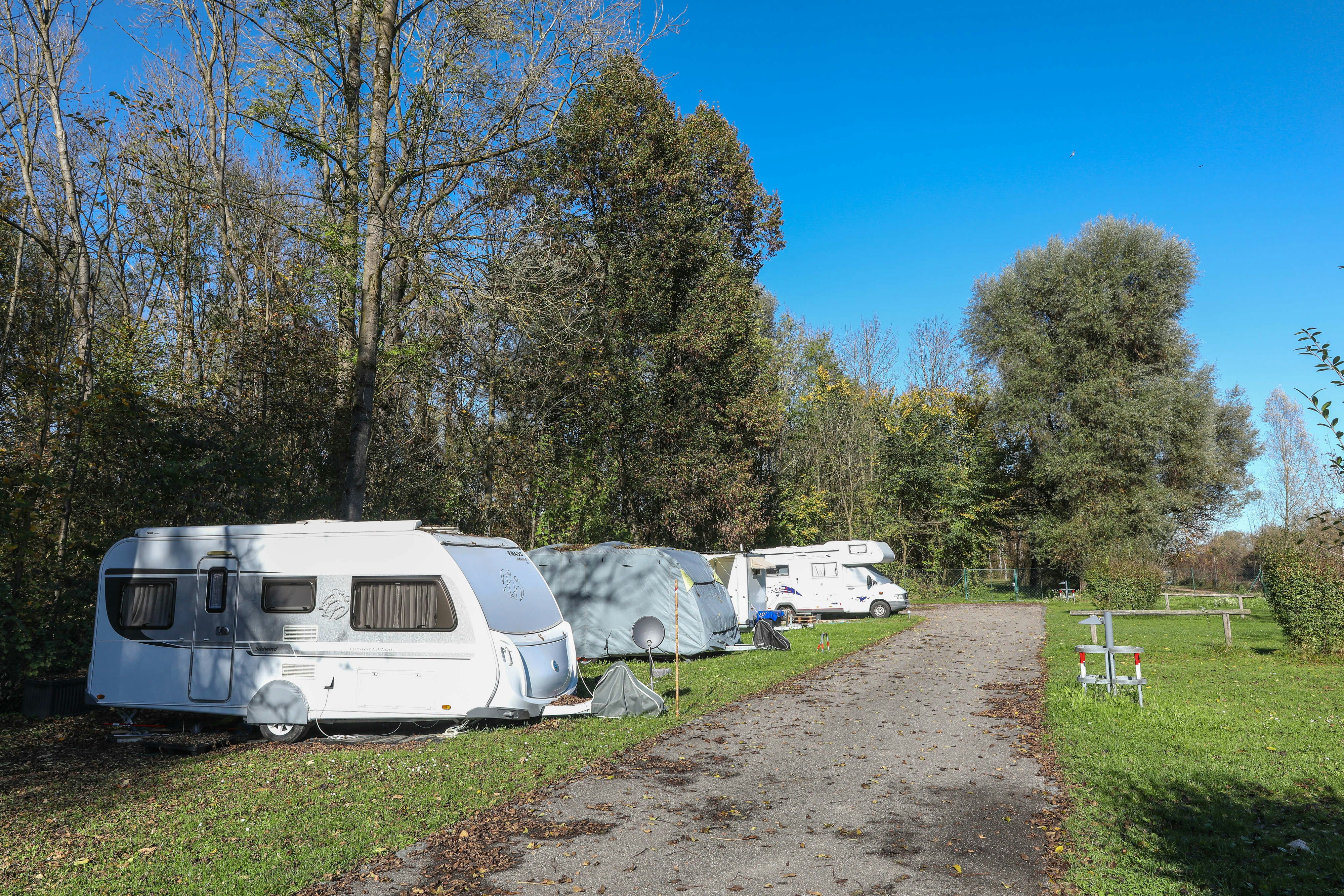 City Camping Landshut - Standplatzwiese am Waldrand