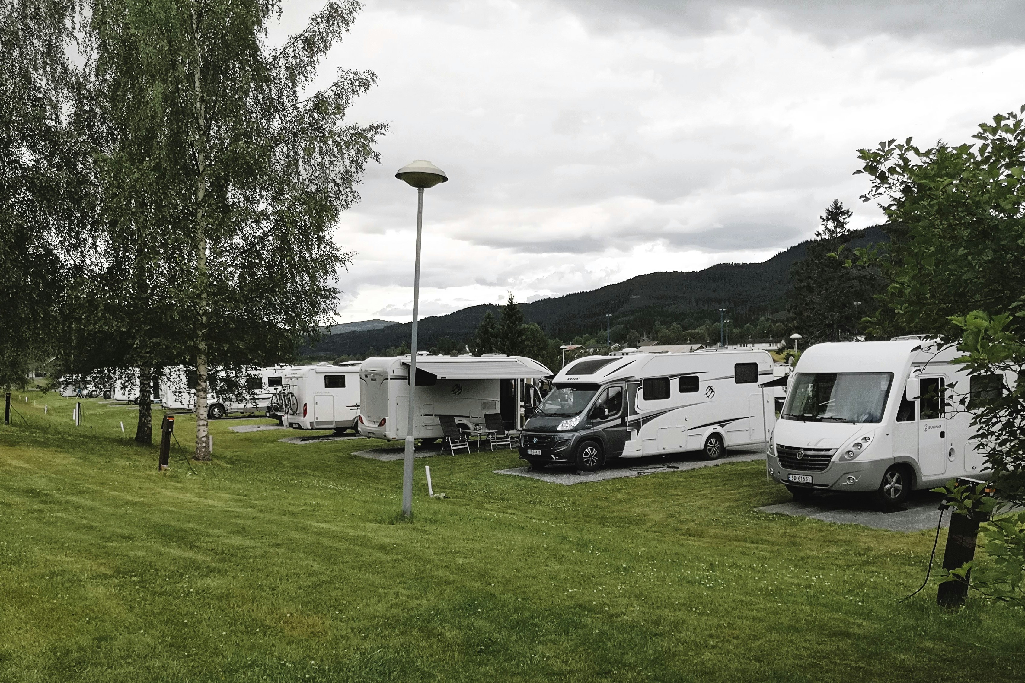 Wohnmobile auf einem Campingplatz auf der Wiese, Birken im Vordergrund und Hügel im Hintergrund unter bewölktem Himmel.