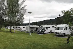 Wohnmobile auf einem Campingplatz auf der Wiese, Birken im Vordergrund und Hügel im Hintergrund unter bewölktem Himmel.