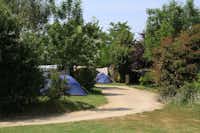 Camping l'Anjou