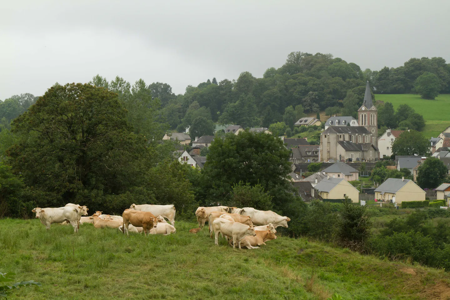 Camping Le Siléo