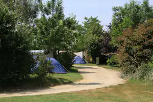 Zelte auf einem Campingplatz, ein Kiesweg führt durch das Grün zwischen Bäumen und Sträuchern.