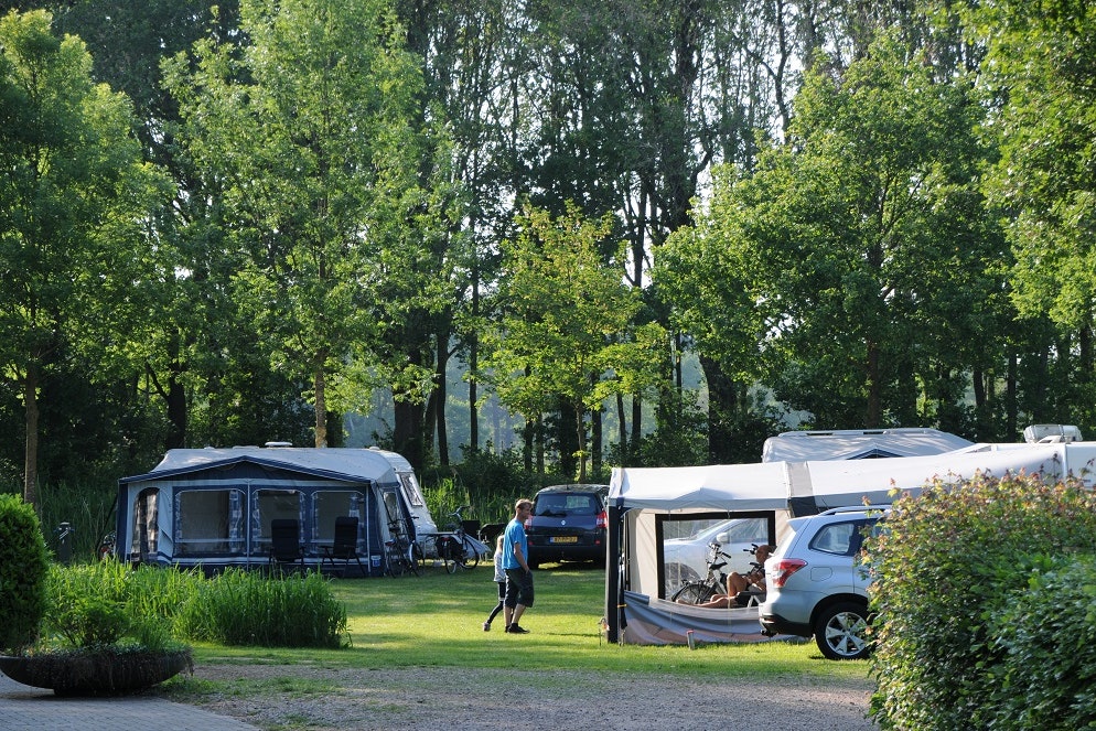 Campingplatz mit Wohnwagen und Zelt, daneben geparkte Autos und Fahrräder, umgeben von hohen Bäumen und Rasen.