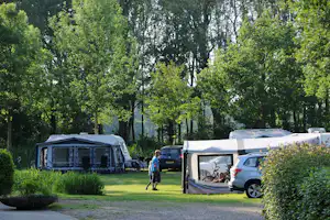 Campingplatz mit Wohnwagen und Zelt, daneben geparkte Autos und Fahrräder, umgeben von hohen Bäumen und Rasen.