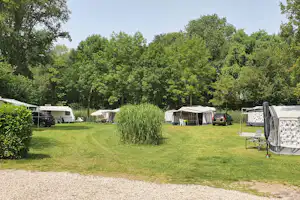 Stellplätze auf einer grünen Wiese mit Wohnwagen und Campingfahrzeugen, Hecken und Bäumen im Hintergrund.