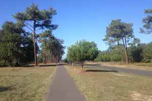 Camping Laouba - Wohnwagen- und Zeltstellplatz vom Campingplatz zwischen Bäumen