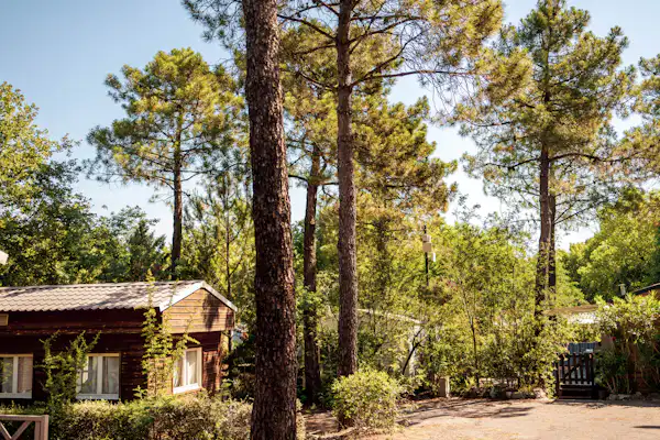 Camping L'Argentière