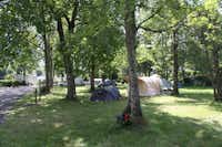 Camping L'Arriou  -  Stellplatz vom Campingplatz zwischen Bäumen