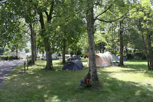 Campingzelt auf dem Rasen zwischen hohen Bäumen, daneben weitere Zelte und geparkte Autos am Campingplatz.