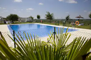 Blick auf den Camping-Pool mit Zaun, Liegen und Gartenpflanzen im Vordergrund, im Hintergrund Gebäude und Wiese.