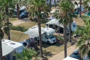 Camping Las Dunas - Standplätze unter Palmen und durch Hecken voneinander abgegrenzt