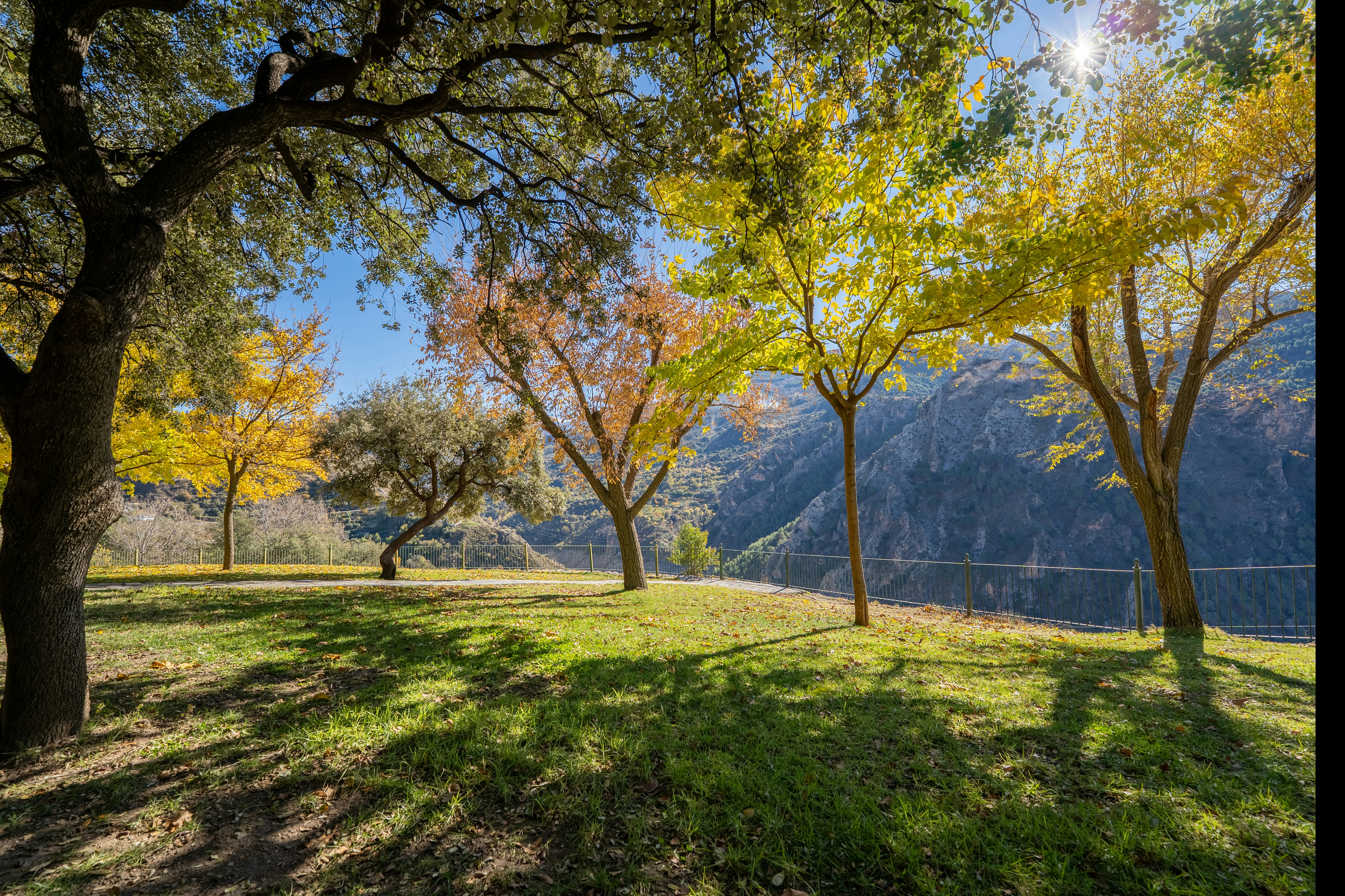 Grüner Campingplatz mit Rasen, Bäumen und Blick auf einen bewaldeten Hügel im Hintergrund, Zaun entlang des Geländes.