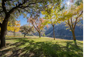 Grüner Campingplatz mit Rasen, Bäumen und Blick auf einen bewaldeten Hügel im Hintergrund, Zaun entlang des Geländes.
