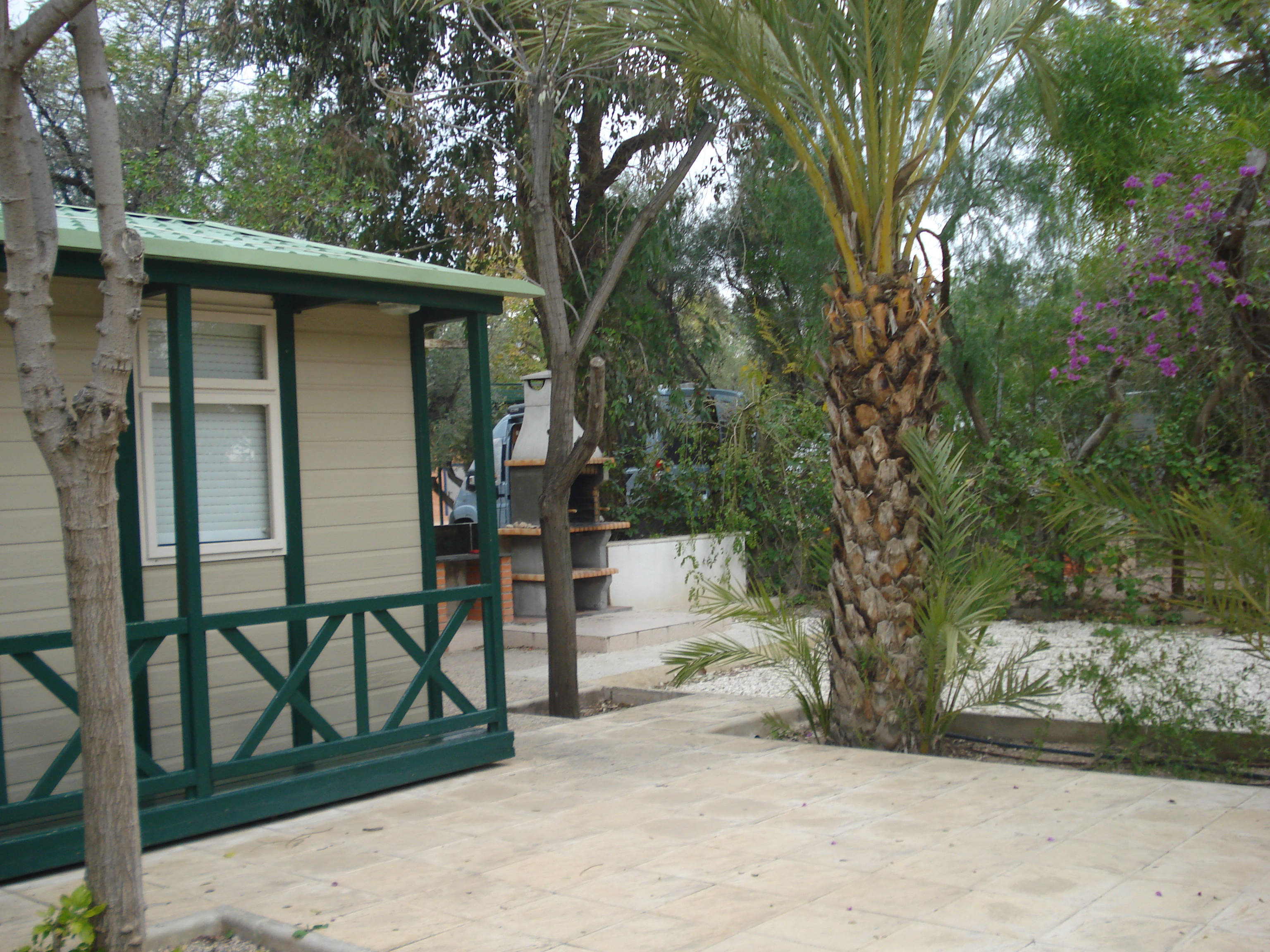 Camping Internacional Las Palmeras