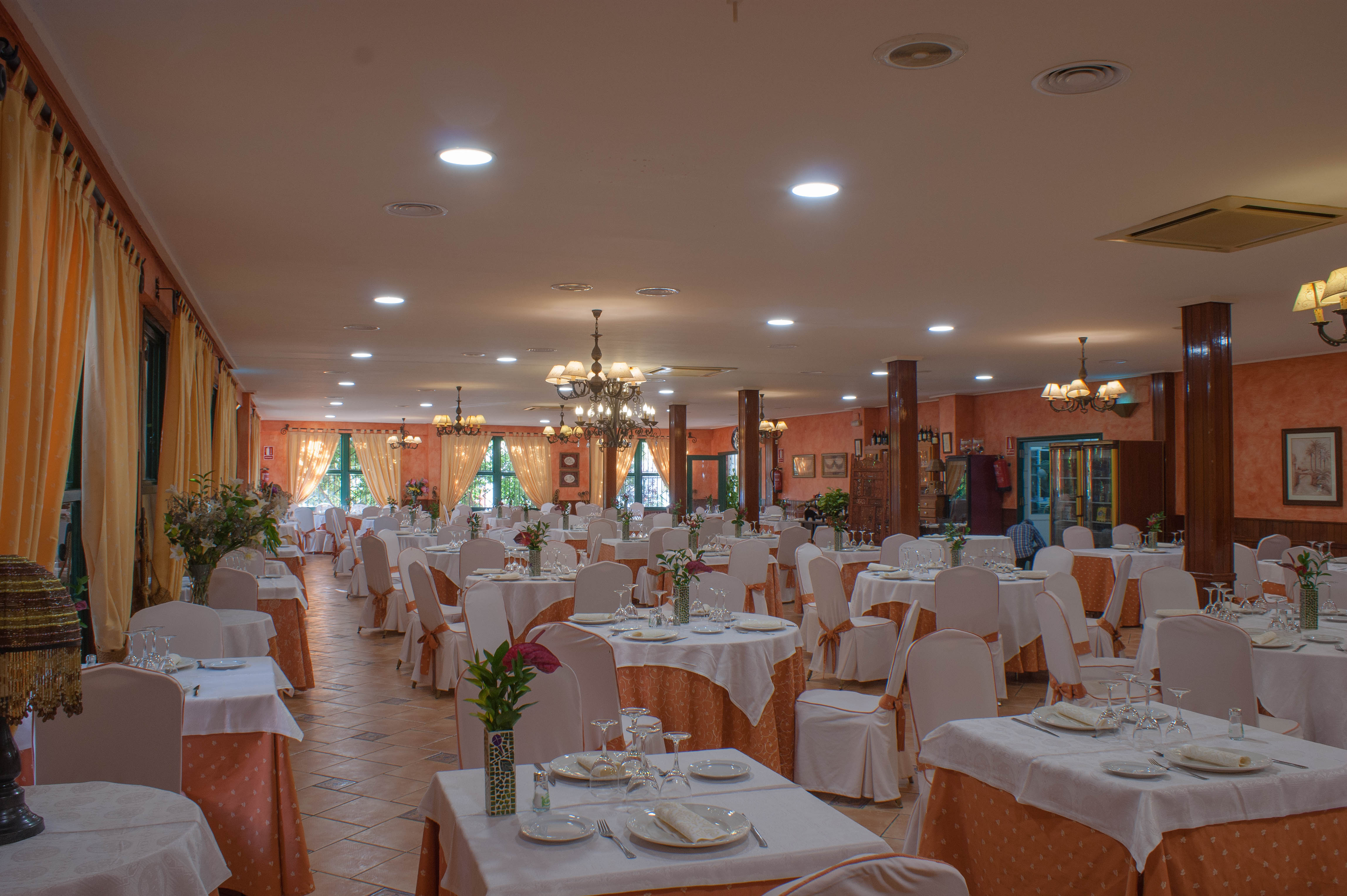 Camping Las Palmeras