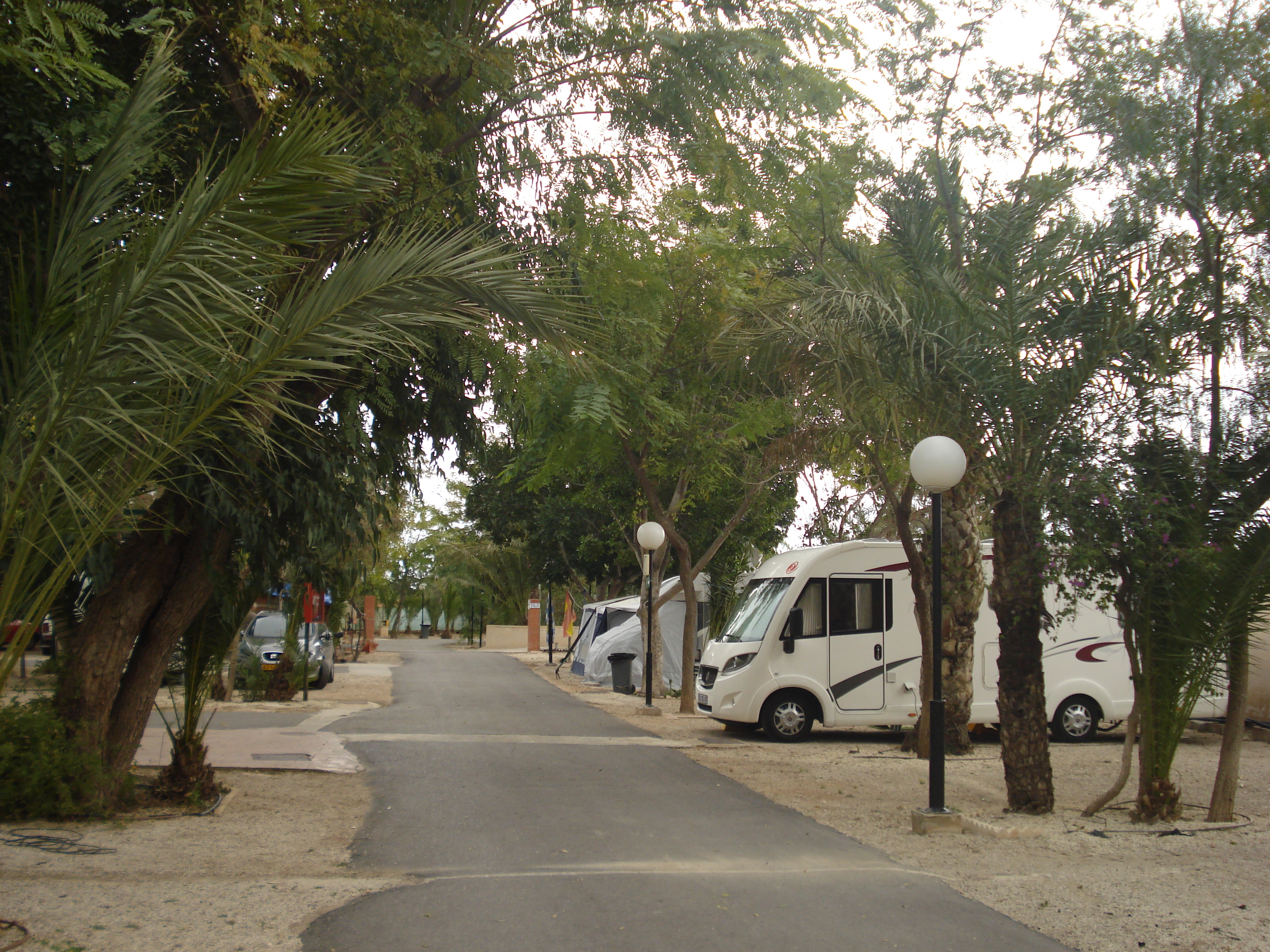 Camping Internacional Las Palmeras