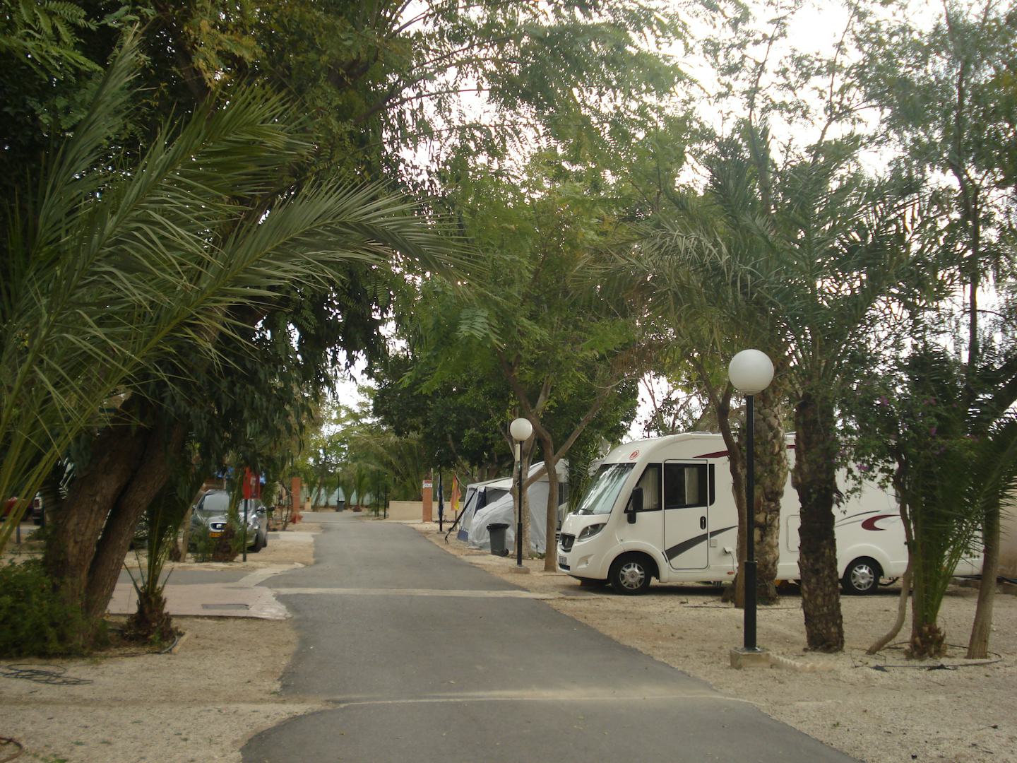 Camping Internacional Las Palmeras