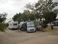 Camping Internacional Las Palmeras