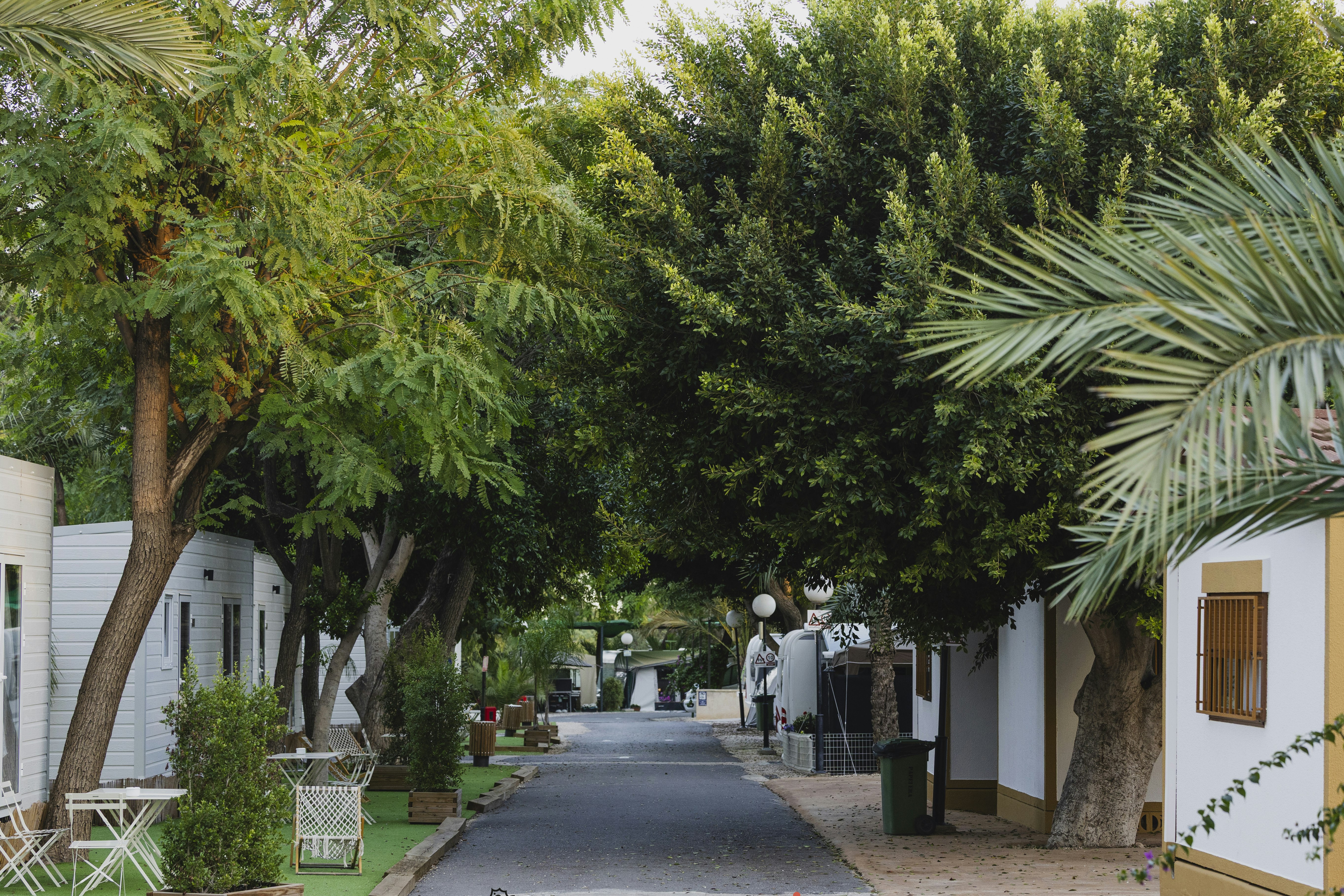 Camping Las Palmeras