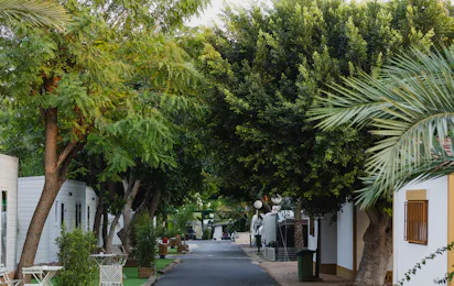 Camping Internacional Las Palmeras