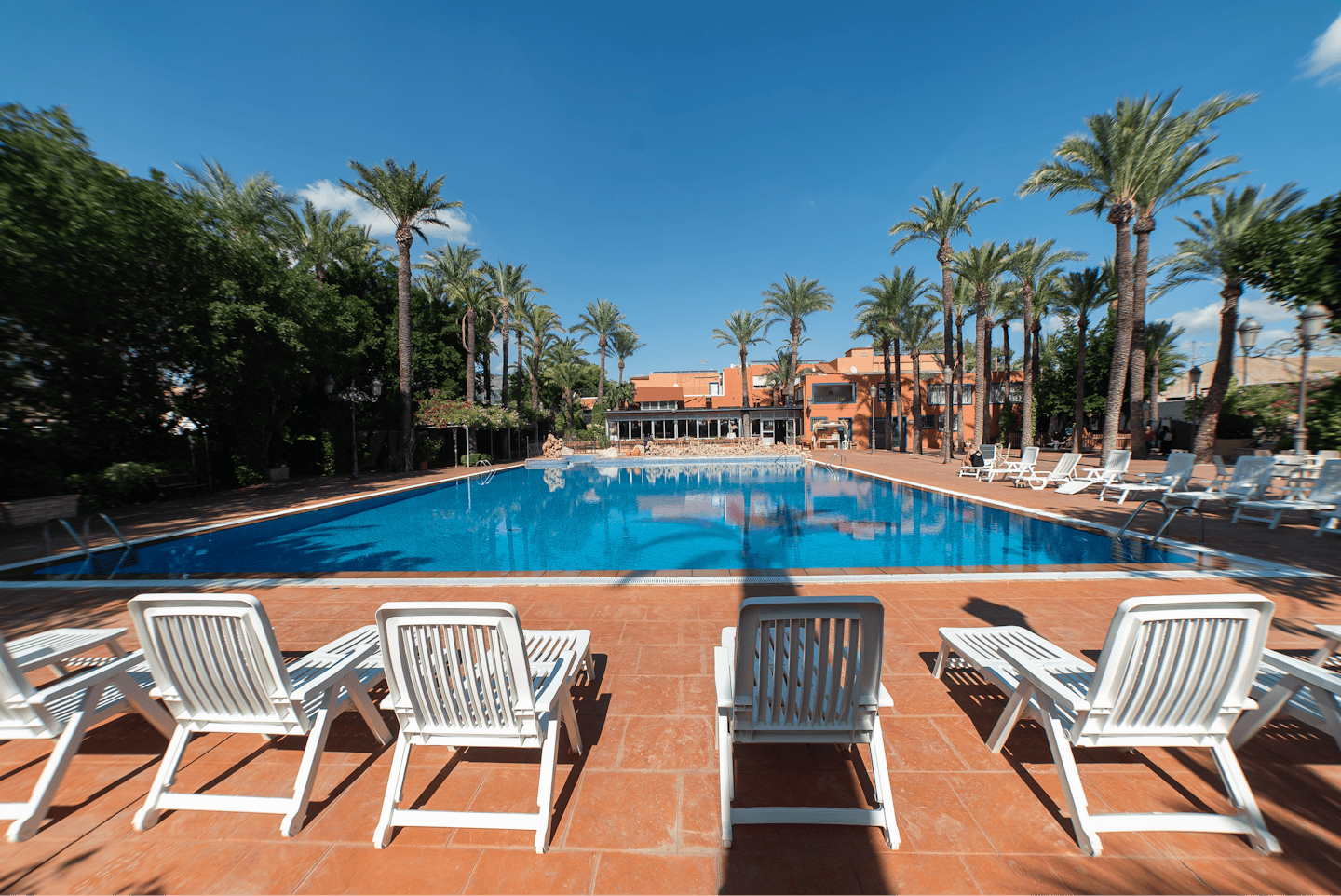 Camping Internacional Las Palmeras