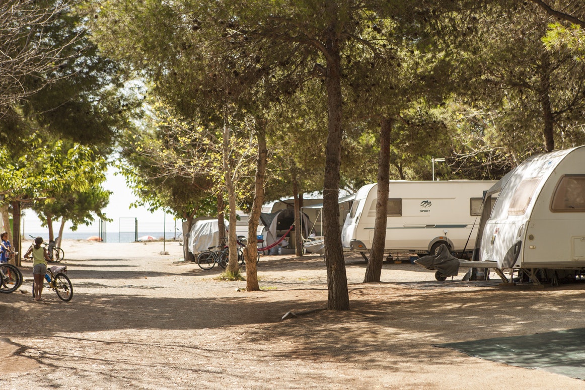 Camping Las Palmeras - Standplätze zwischen den Bäumen auf dem Campingplatz