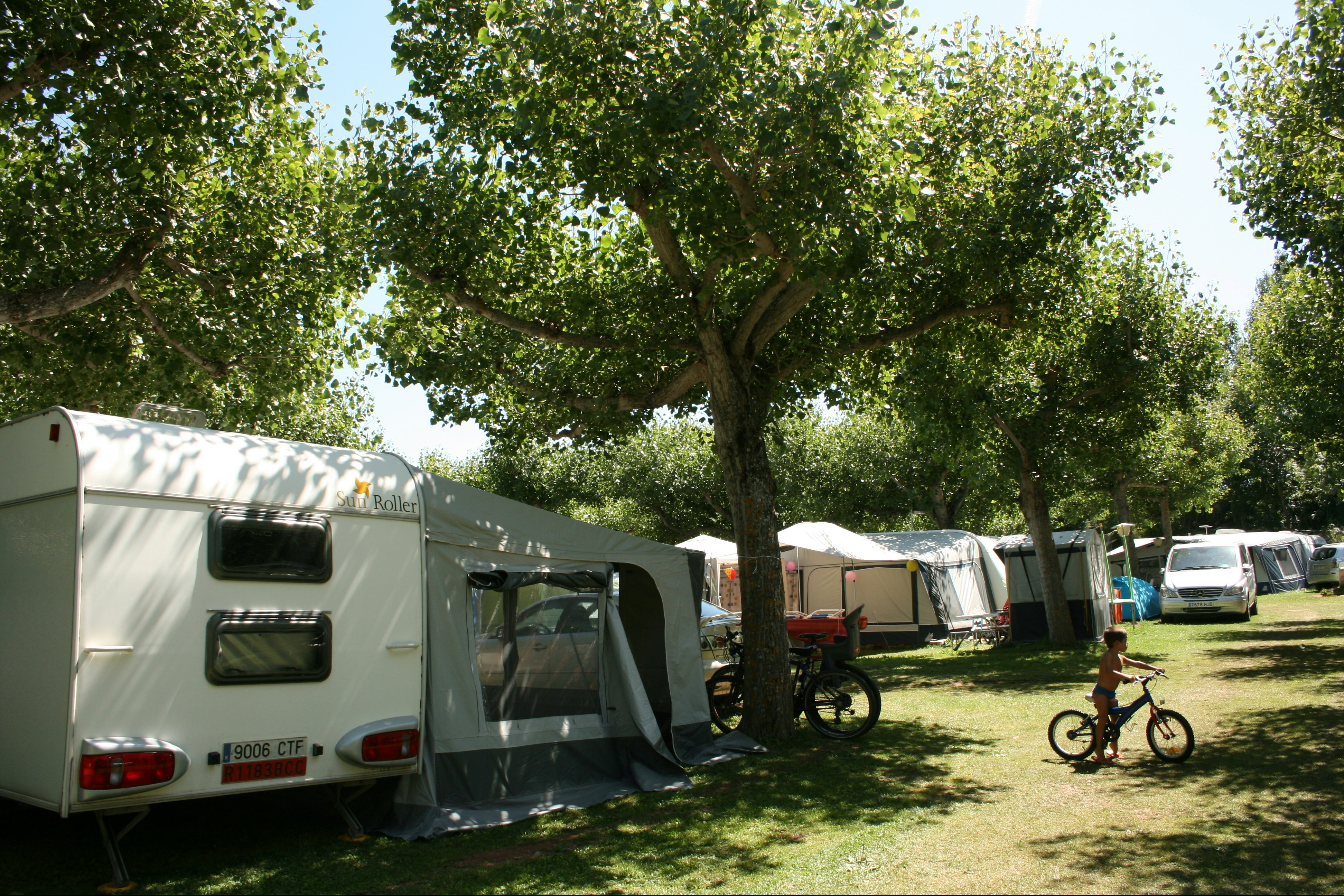 Wohnmobil und Zeltstellplätze im Grünen, mit Fahrrad am Baum und weiteren Fahrzeugen im Hintergrund.
