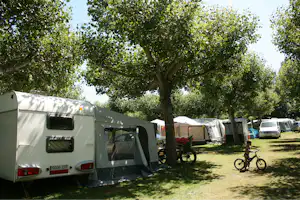 Wohnmobil und Zeltstellplätze im Grünen, mit Fahrrad am Baum und weiteren Fahrzeugen im Hintergrund.