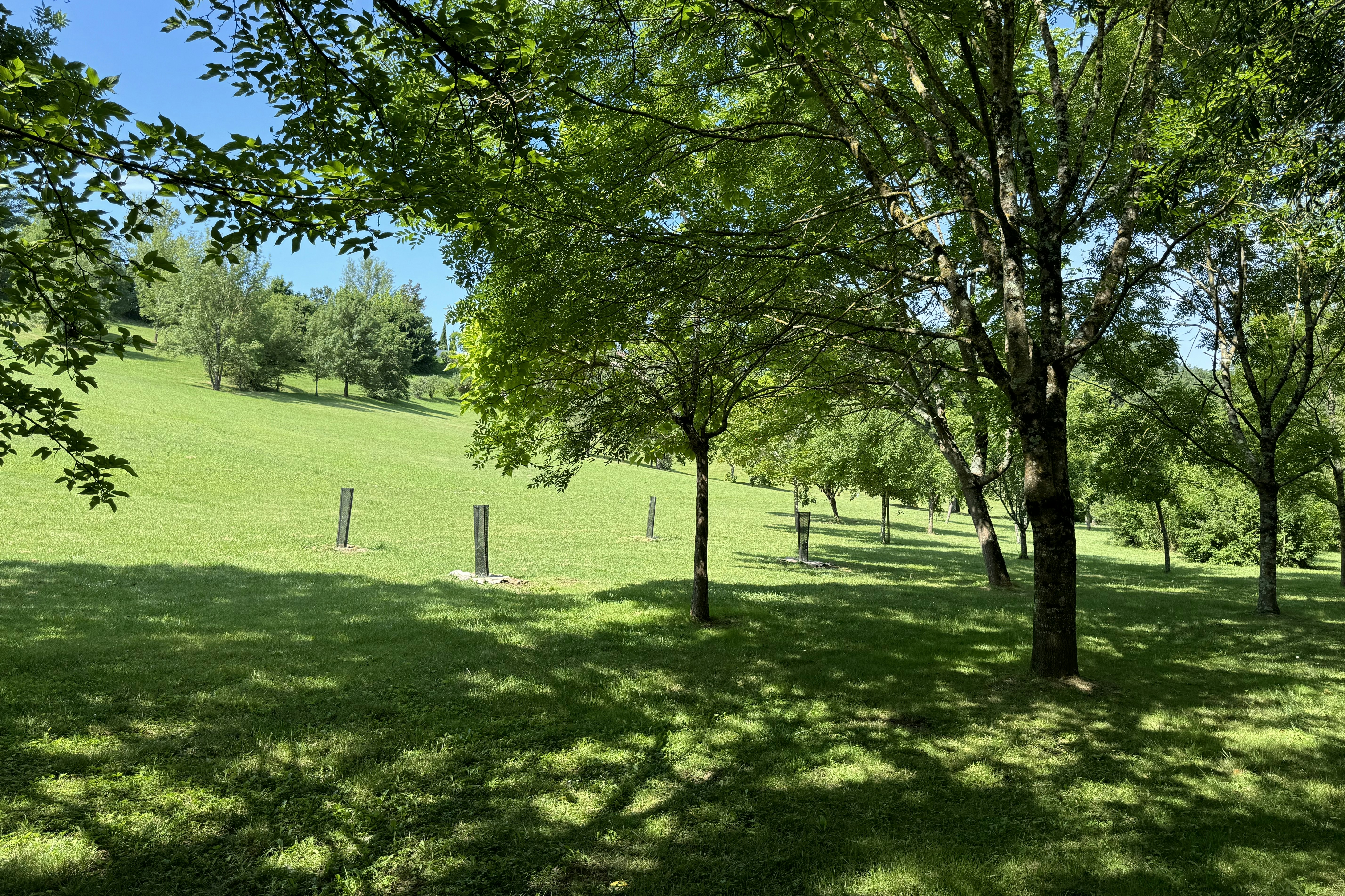 Camping Latapie - Blick auf die Standplätze auf der Wiese