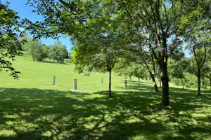 Camping Latapie - Blick auf die Standplätze auf der Wiese