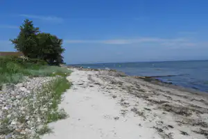 Sandiger Strandweg am Meer mit Baum links, Kieselsteinen am Rand und ruhiger Wasserlinie bis zum Horizont.