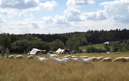 Farm & Camping Lazy