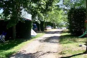 Zelt am Campingplatz neben einem Kiesweg, umgeben von Bäumen und Hecken, im Hintergrund geparkte Autos.