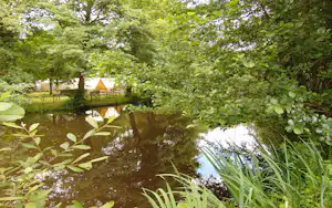 Camping Le Beauchene - Natur auf dem Campingplatz