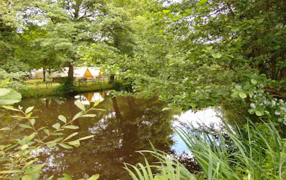 Flower Camping Beauchene