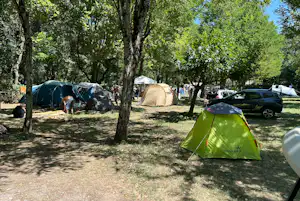 Zelte auf einem Campingplatz im Schatten der Bäume, daneben Autos und weitere Zeltplanen auf einer Wiese.