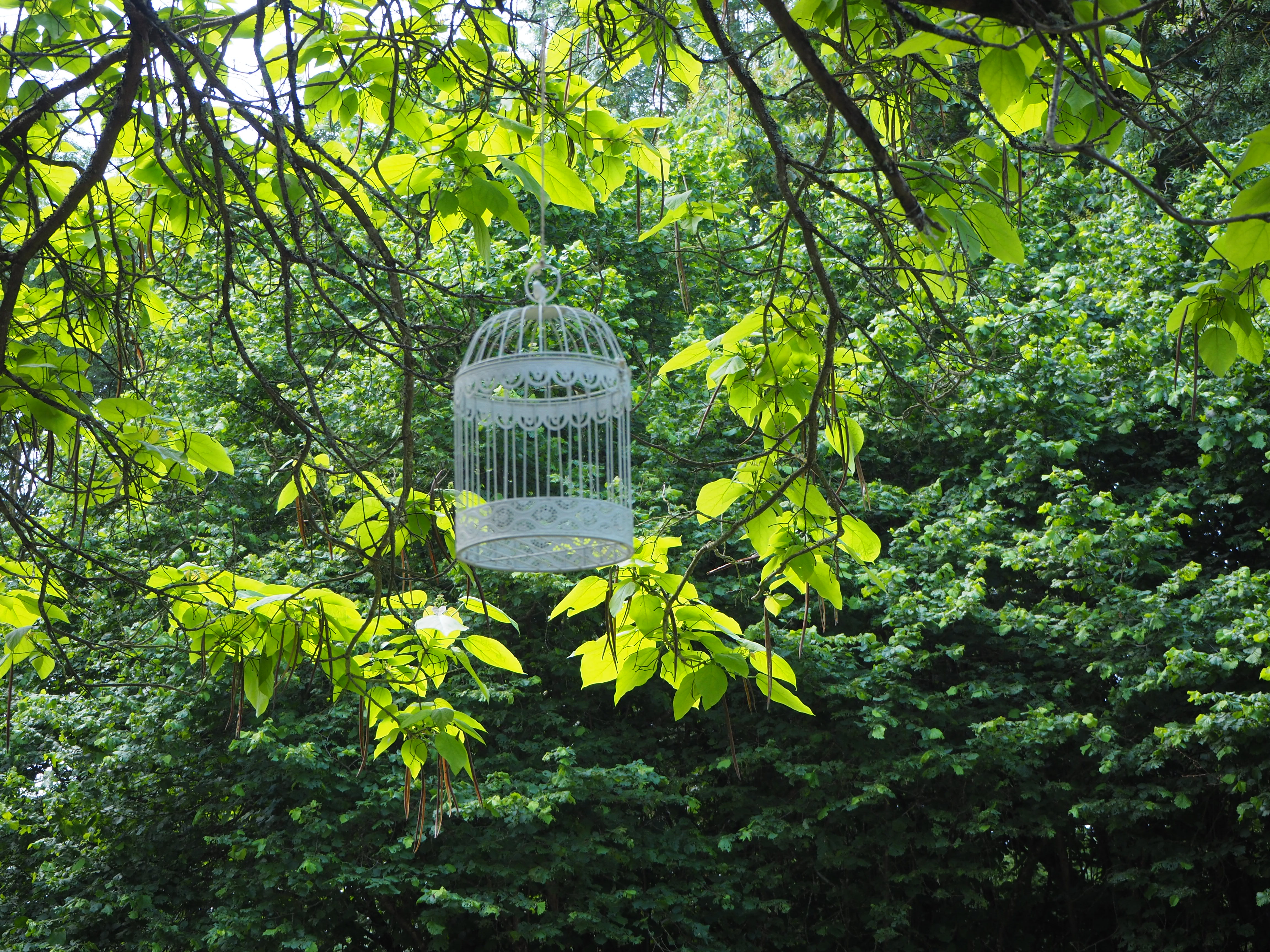 Camping Le Bec de Cisse