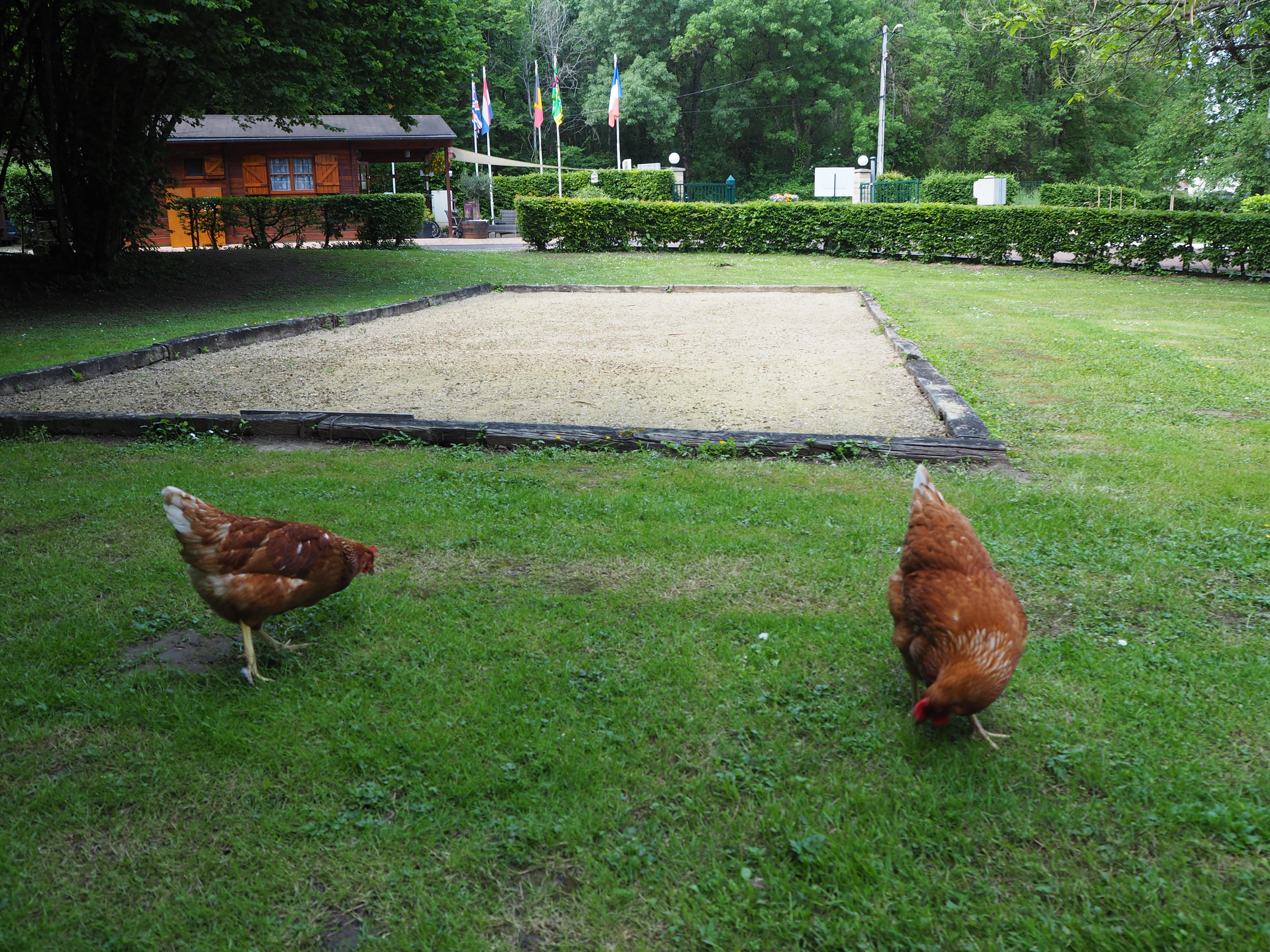 Camping Le Bec de Cisse