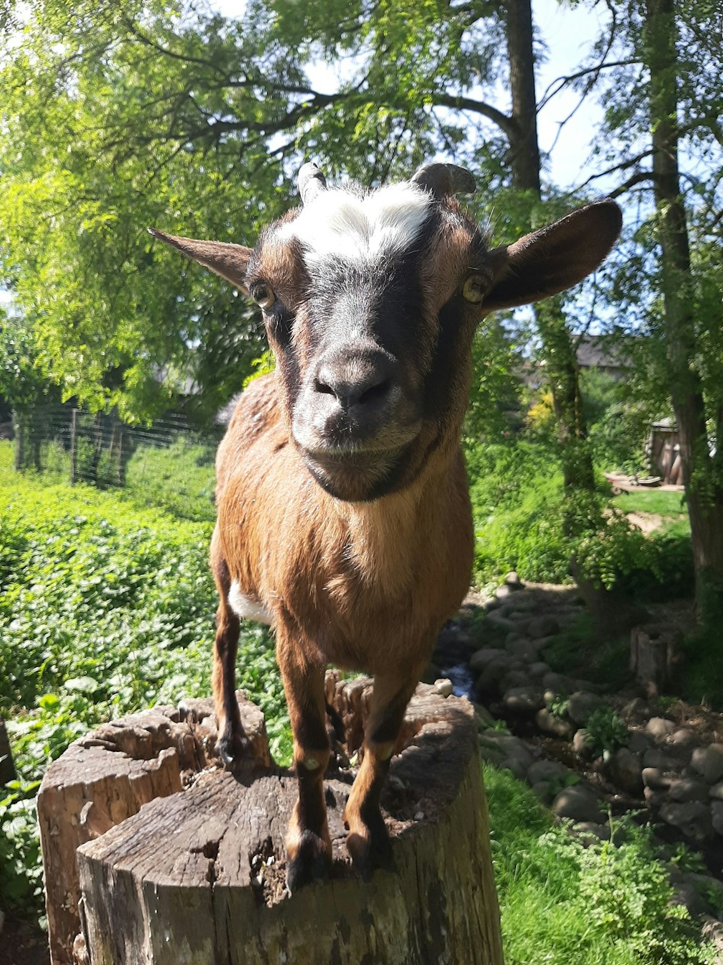 Camping Le Bois Coudrais